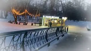 An evening walk through a winter park accompanied by jazz music.