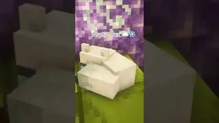Top 4 Cutest Mobs in Minecraft