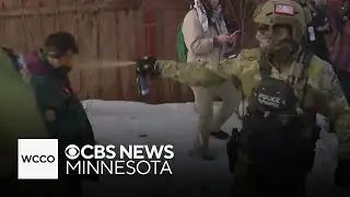 Appeals court sides with ICE in protester use-of-force case