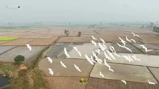 Follow nature&mdash;no subscription, only relaxation&hellip;  #Joypurhat #CinematicNature #natureofjoypurhat