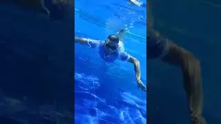 Under The Sea