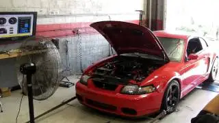 03 Cobra Whipple 3.4L Crusher Dyno / E85 @ 27lbs of boost on built 5.0l Stroker