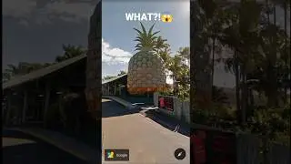 Found Giant Pineapple On Google Maps #googleearth #googlemaps #shorts