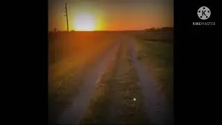 Penguin Looking At Sunset Extended (Berserk OST)