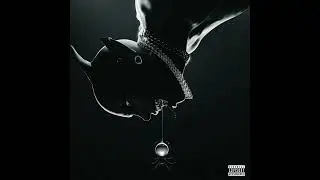 Wet Vagina (USA Live Studio Version)