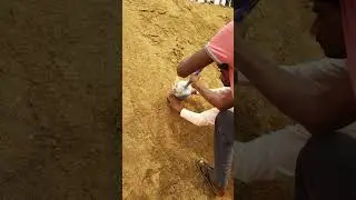 canal slope compaction test by core cutter method 95%