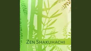 Deep Contemplation, Meditation Shaker