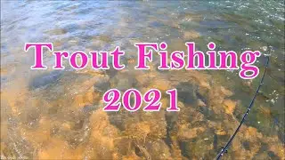 Trout Fishing 2021