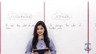 Class 5 - Computer Studies - Chapter 5 - Lecture 4 - Colors in LOGO- Allied Schools