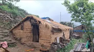 This IS Surviving Life During the Rainy Days || Beautiful Nature With Rural Life || Rural Activity |