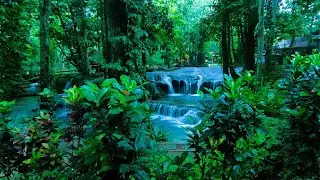 Relaxing Music and Waterfall Ambience for Sleep Therapy and Wellness