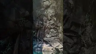 Beauty of Nature|4K HDR#nature#ponds#naturesounds#backgroundnoise #listenbeforeigo #relaxingmusic