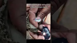 Gemstone and Pearl Fraud at Chilika Lake | Pearl and Moon Stone at Chilika lake Fake or real #shorts