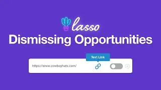 Dismissing Opportunities In Lasso | Lasso WordPress Plugin