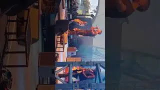 those damn crows - find a way live (29.08.2025 in Hanau (