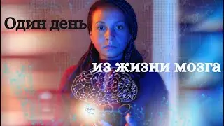 Один день из жизни МОЗГа, нейросети