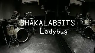 SHAKALABBITS Ladybug drum 叩いてみた