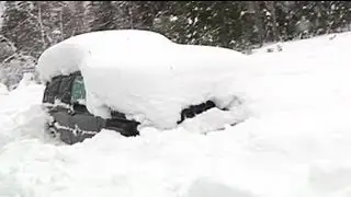 -30° soğukta kış uykusuyla hayatta kaldı