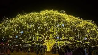 Fort Kochi on New year Eve
