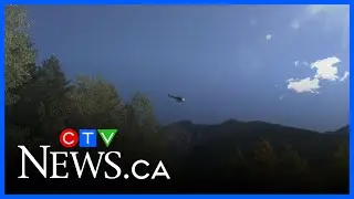 Search for Darius Macdougall ongoing