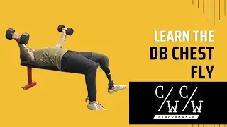 DB Chest Fly | CWCW Performance