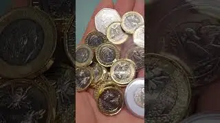 2 ПЧЕЛЫ, МОНЕТА 1 ФУНТ + МОНЕТЫ КОРОЛЯ КАРЛА III