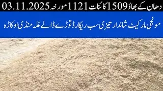 DHAN PRICE TODAY OKARA MANDI PAKISTAN // DHAN PRICE PUNJAB MANDI 03.11.2025