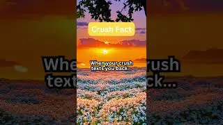 Daily Crush Fact 1 #CrushFacts #DatingTips #RelationshipAdvice