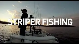 STRIPER FISHING | DIAMOND VALLEY LAKE