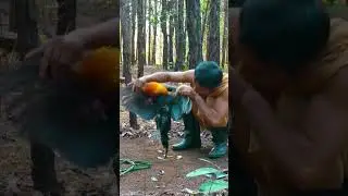 Chicken 🐔 #animals #challenge #forest #survival #tools #tricks #viral #viralvideo #viralshorts