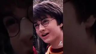 Draco x Y/N grow up together