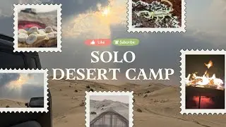 [MOST LETHAL ARABIAN SCORPIONS & SPIDERS Visiting My Camp !!!] - Solo Desert Camp - Wild Visitors