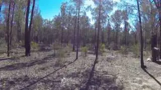 Schwagers Bore Campground, The Pilliga