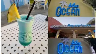 Blue Ocean Miami Beach Restaurant in Jeddah | Fakieh Aquarium | Sone fari