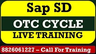 SAP SD O2C CYCLE S4 HANA HINDI TRAINING | LIVE PROJECT BASIC TO ADVANCE | 8826061227