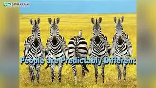 16 Personality Types - Find Your Personality MBTI Session By Qamar ul Hassan