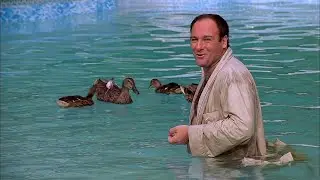 Tony Soprano's Ducks | The Sopranos (1999)