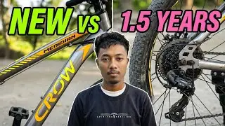 Crow Meridian 29T 21 Speed MTB Long Term Review After 1.5 Year Usage