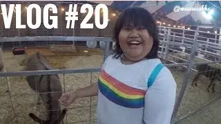 Hotel Weekend Part II - VLOG #20 | @Meeeeeeekks