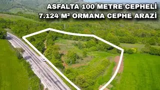 2061- ASFALTA 100 METRE CEPHELİ 7.124 M² ORMANA CEPHE ARAZİ