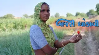 બાજરી ધોકાવી | bajari dhokavi | 😭 Knachan Vasudev vlog 😭@pattuvlog @ RupaArvindvlog