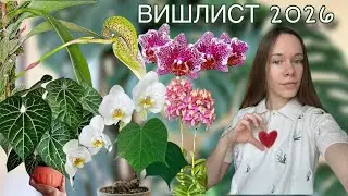 Растения мечты: редкие комнатные и орхидеи | Вишлист 2026