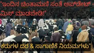 ಚಿಂತಾಮಣಿ ಕರುಗಳ ಸಂತೆ: ಭರ್ಜರಿ ವ್ಯಾಪಾರ!