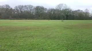 Slough West London bashers racing