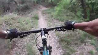 Carnage Trail Speed Run