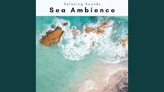 Clear Sea Trip for Total Relax