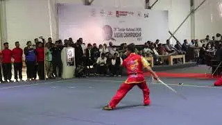 Wushu  'Taolu'  Group Event