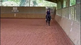DEBS' BRO JOE (w/t) - Adoptable Thoroughbred Gelding - New Vocations