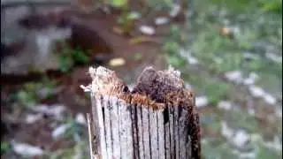 Full HD video  shot using Xolo Q1000 handset