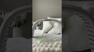 See the LumaLux Dome in action and be amazed 🤩